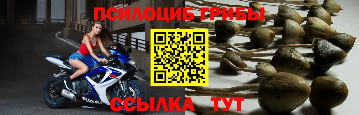 Галлюциногенные грибы ЛСД Касимов