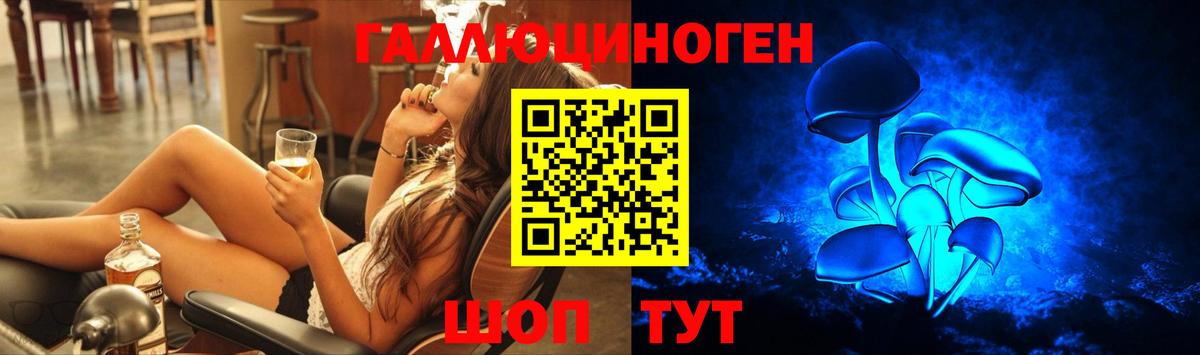 Псилоцибиновые грибы Magic Shrooms  Вход с VPN  Касимов 