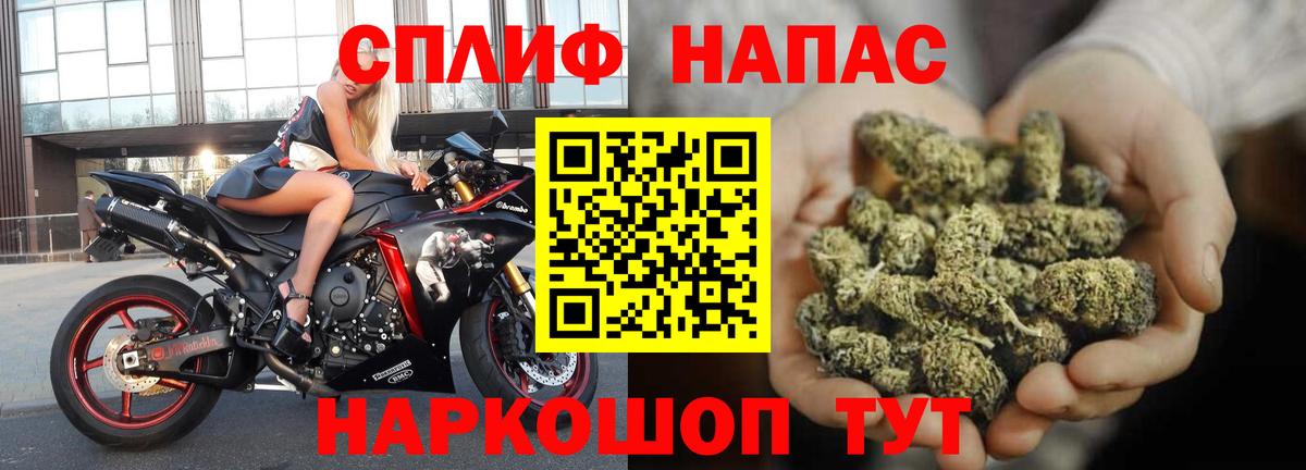 Марихуана конопля Касимов