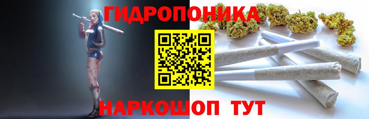 Шишки марихуана индика  МАРИХУАНА марихуана  Касимов  Конопля сатива  Вход с VPN 